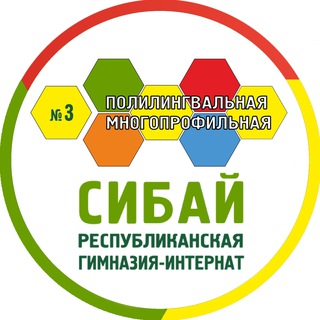 РПМГИ № 3 "СИБАЙ"