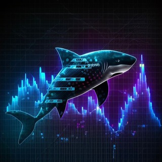 Shark Signals 🦈