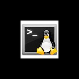 Shell Script BR (#!/bin/bash)