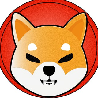 Shiba Inu Côte d'Ivoire