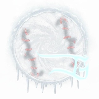 {SHIELDED}