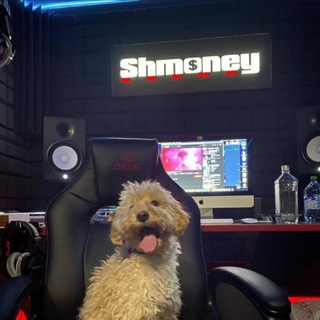 SHMONEY DAILY
