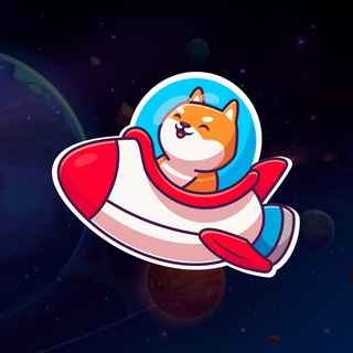 Shuttle Shiba - Official Squad