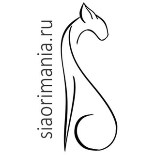 Ориенталы, Сиамы, Петерболды - SiaOriMania.ru - ориентальные кошки. ориенталы, сиамы, петерболды. КОТЯТА SOM