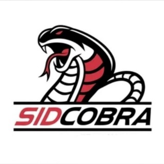 SIDCOBRA: Прокачай себя💪