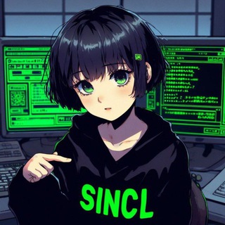 Синклач 1.0
