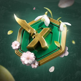 SKINBOX | CS2