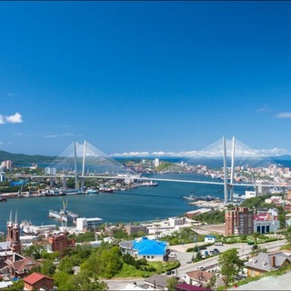 Владик чат