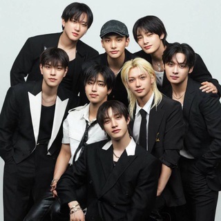 Дом Stray Kids