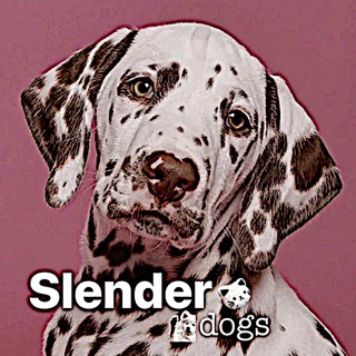 sʟᴇɴᴅᴇʀ.ᴅᴏɢsᶜʰᵃᶰᶰᵉᶫ