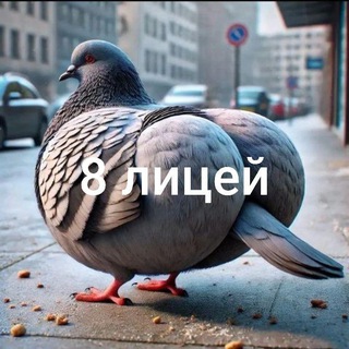 Подслушано 8 Лицей