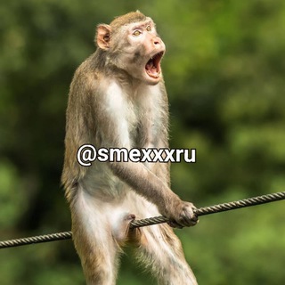 smexxxru