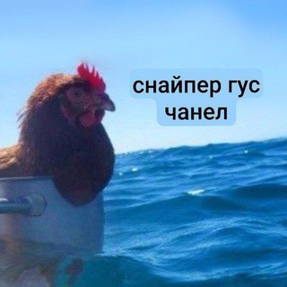 snipergoose 🌊
