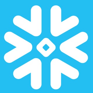SnowflakeDB chat (EN)
