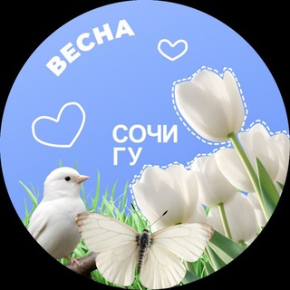 Сочинский госуниверситет