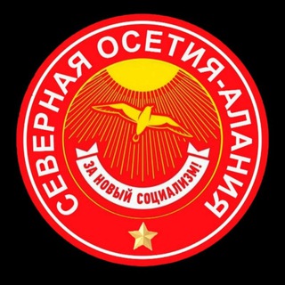 ЗНС чат РСО-А