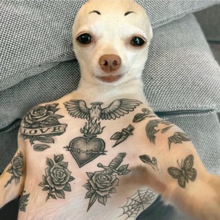 lllllllll