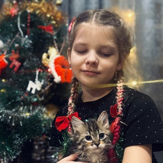 Девочка Соник | мемы | саморазвитие|