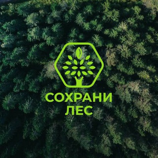 Сохрани Лес | Чат общения