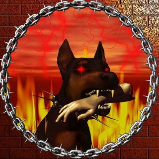 DOG BOY