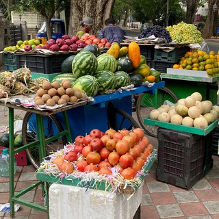 Соловьи улетели на юг