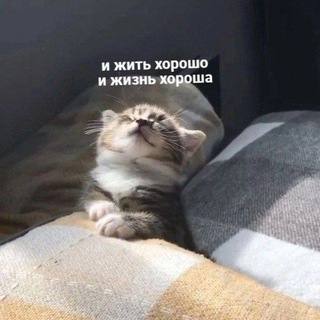 Сонч