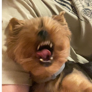 sooosaaaaaaaaaaaad