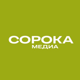 sorokamedia.ru