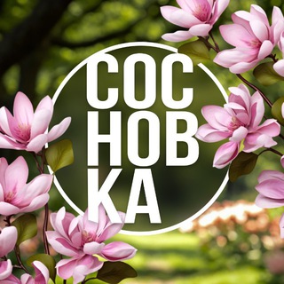 🌿 Институт СосновКа