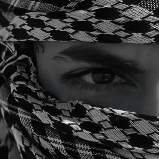 ibn sardarov