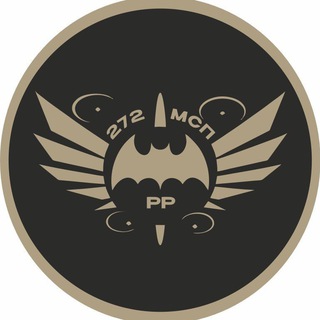БОЕВАЯ СТАЯ_272_ МСП