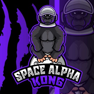 Space Alpha Kong (SAK)
