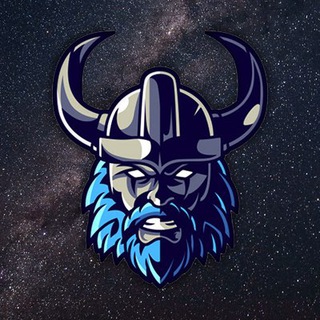 Space Vikings LLC ⚔️