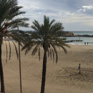 Виза в Испанию 🇪🇸