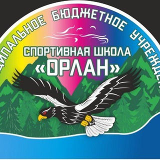 Спортивная школа "Орлан"