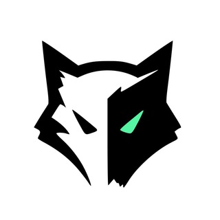 SpyWolf's Audited Projects