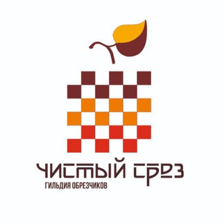 Гильдия 'Чистый срез'