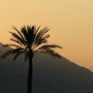 shams | شمس