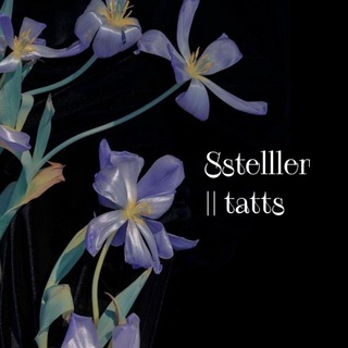 Sstelller || tatts SPB