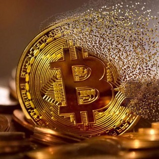 Crypto News