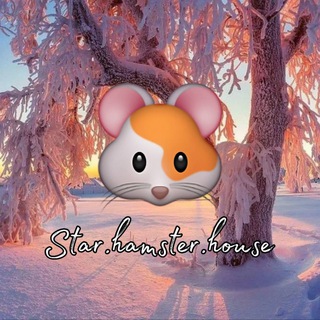 🌷 Star.hamster.house 🌱