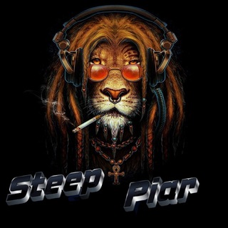 SteepPR просмотры