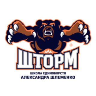 Школа единобоств Александра Шлеменко «Шторм»