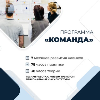 Программа «Тимлид. Команда»: Школа Стратоплан