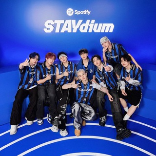Мир Stray Kids