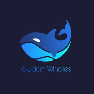 Sudan Whales 🐳