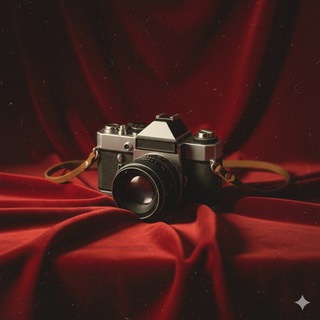Sunwinephoto