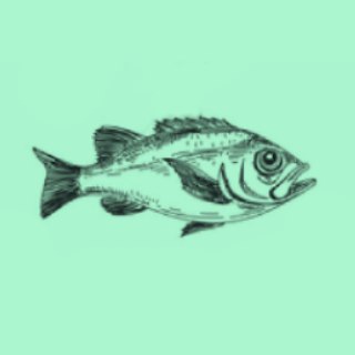 Супер-food