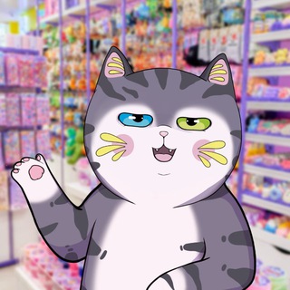 СВИТ КЭТ😸
