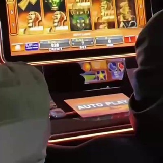nobrain pr